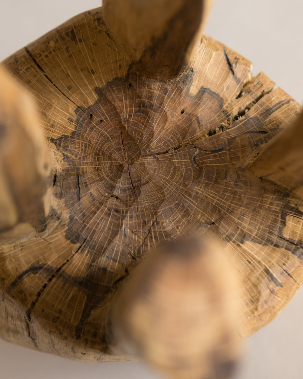 木台 hip・橡木 55