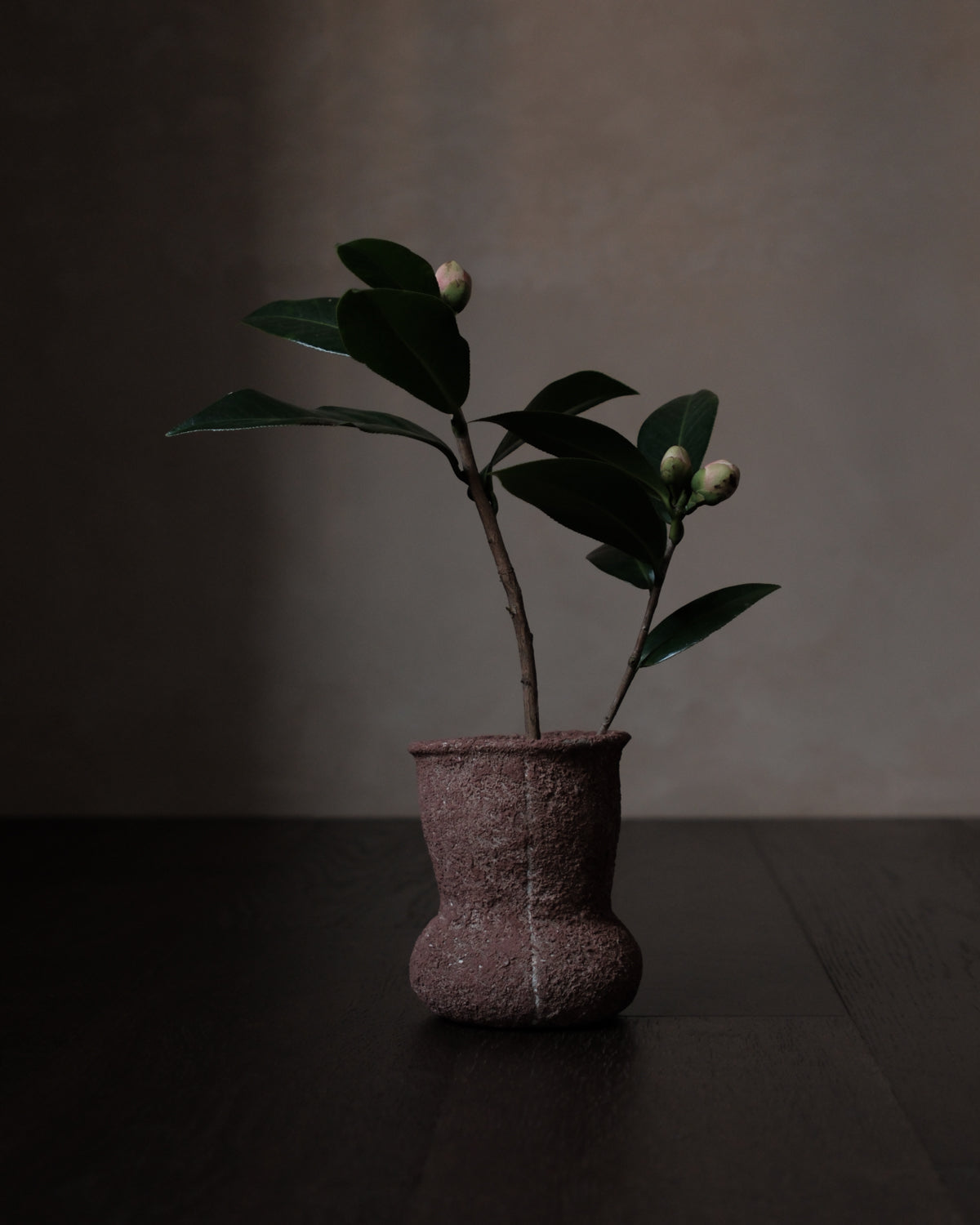 han-03 flowers and their bardo / 梁瀚云