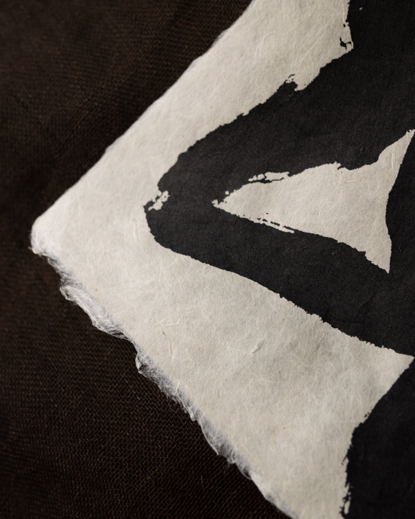 和紙絹印畫|冬花