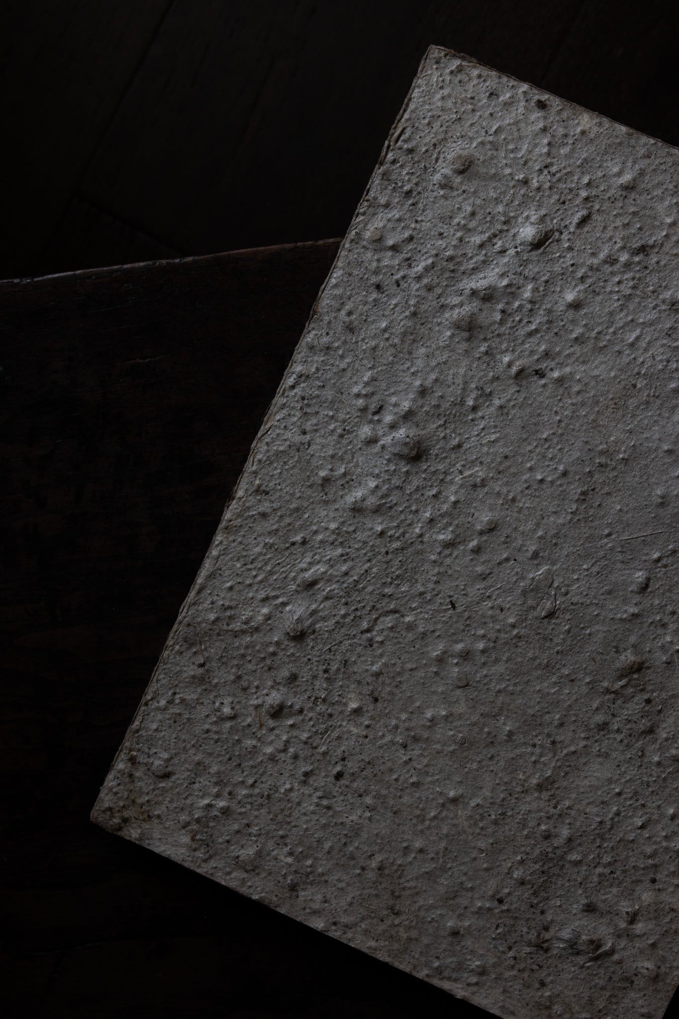 和紙壁掛作品|淡月