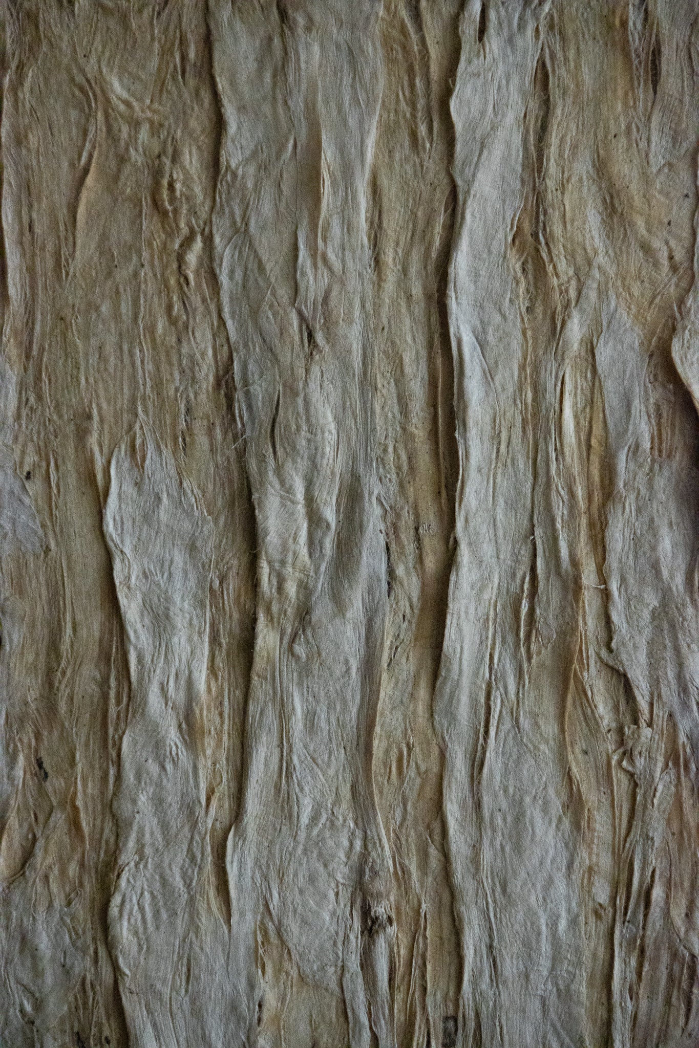 和紙壁掛作品|木の芽