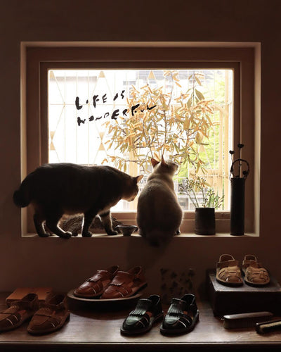 「LIFE IS WONDERFUL」 STEVE MONO x PAPER BRUT