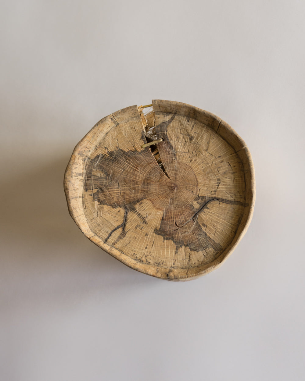 盆型木台III・橡木24 – 山竹｜Koya Sanju