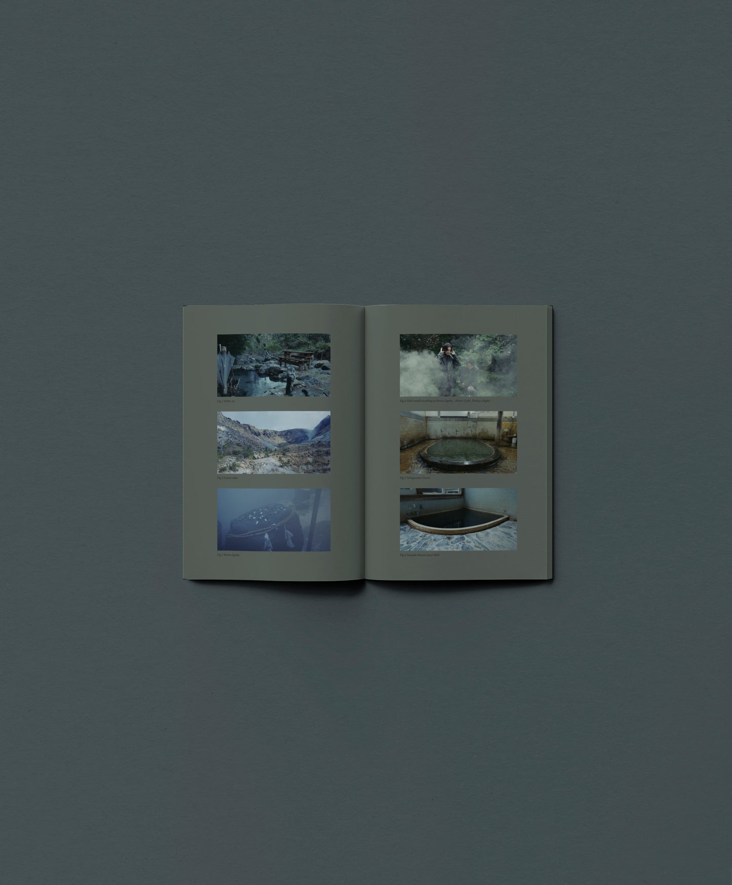 「Sen’nyū 泉涌」Vinyl
