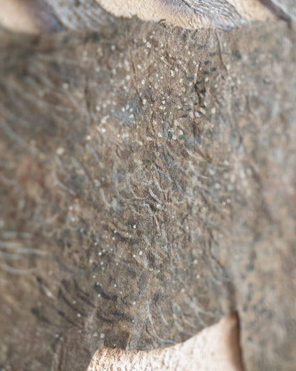 剪紙生物・鹿 XI