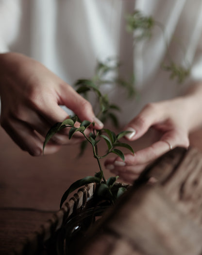 「花草與籠」工作坊
