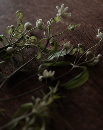 「花草與籠」工作坊