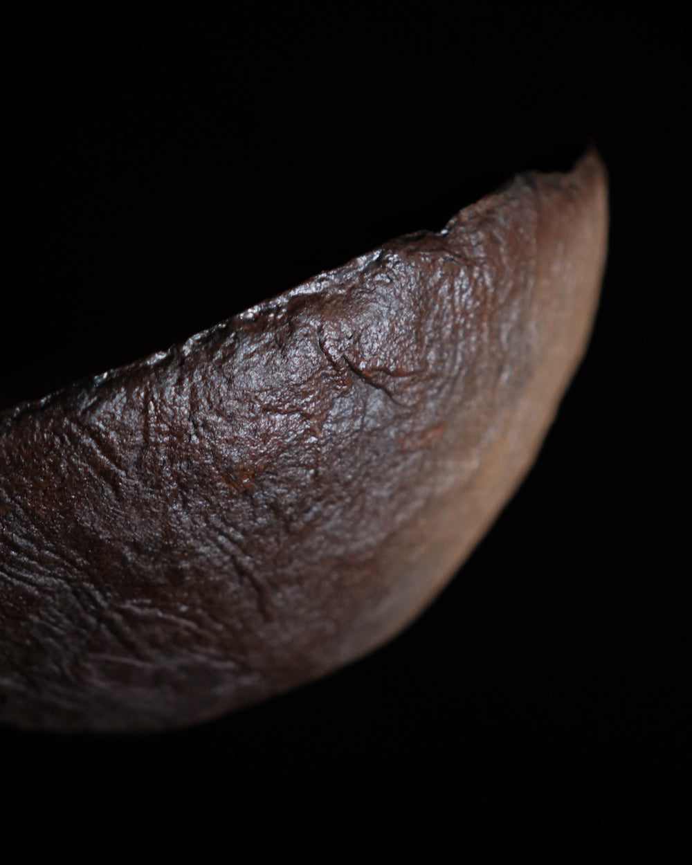 紙胎漆缽 / 20cm