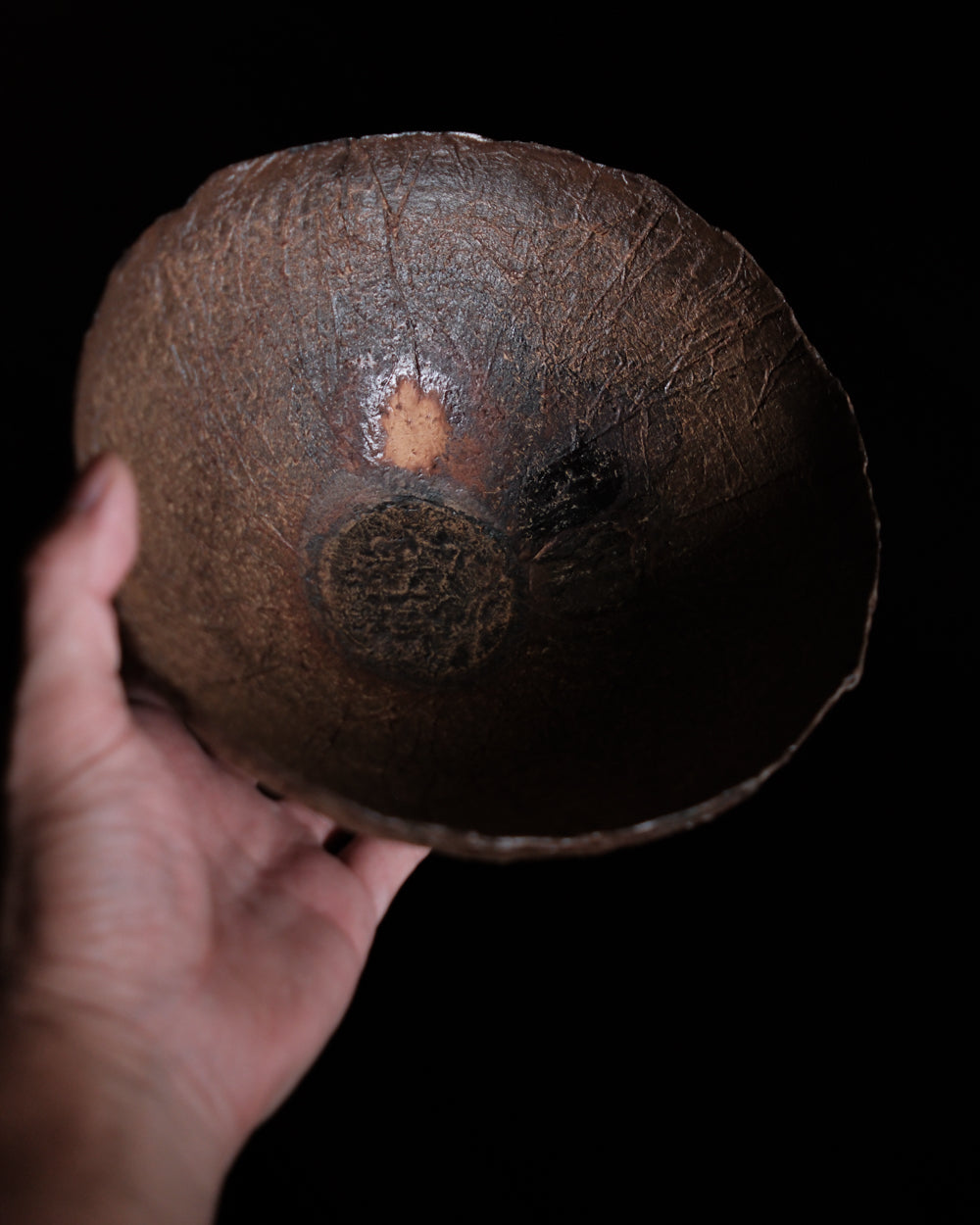 紙胎漆缽 / 20cm