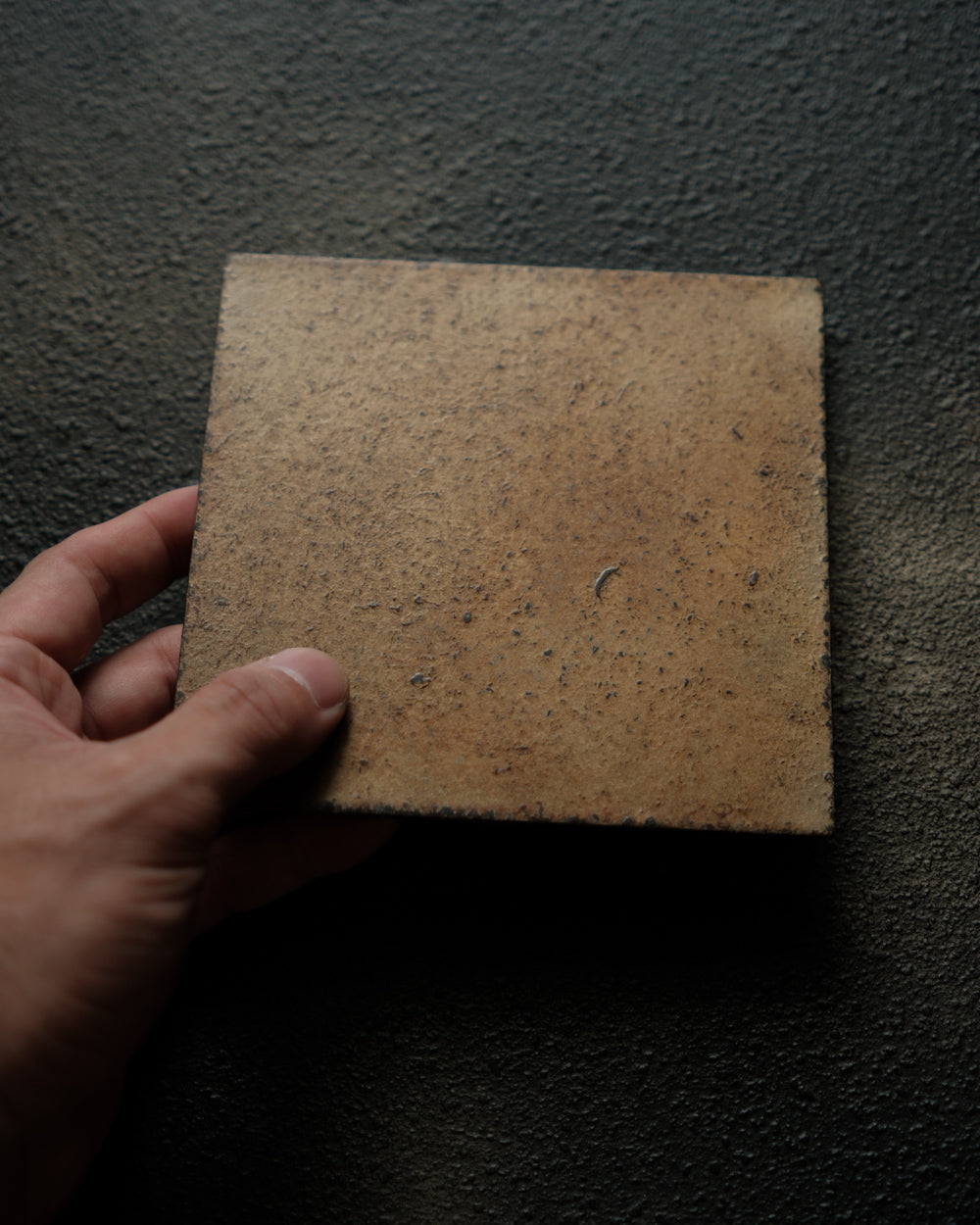敷板・錫蒔地 / 13cm