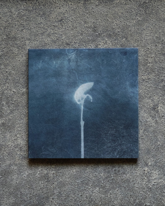yu isobe・phoka「ao」CD