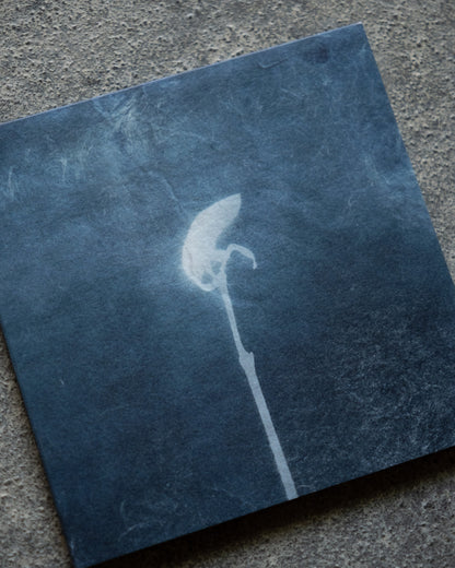 yu isobe・phoka「ao」CD