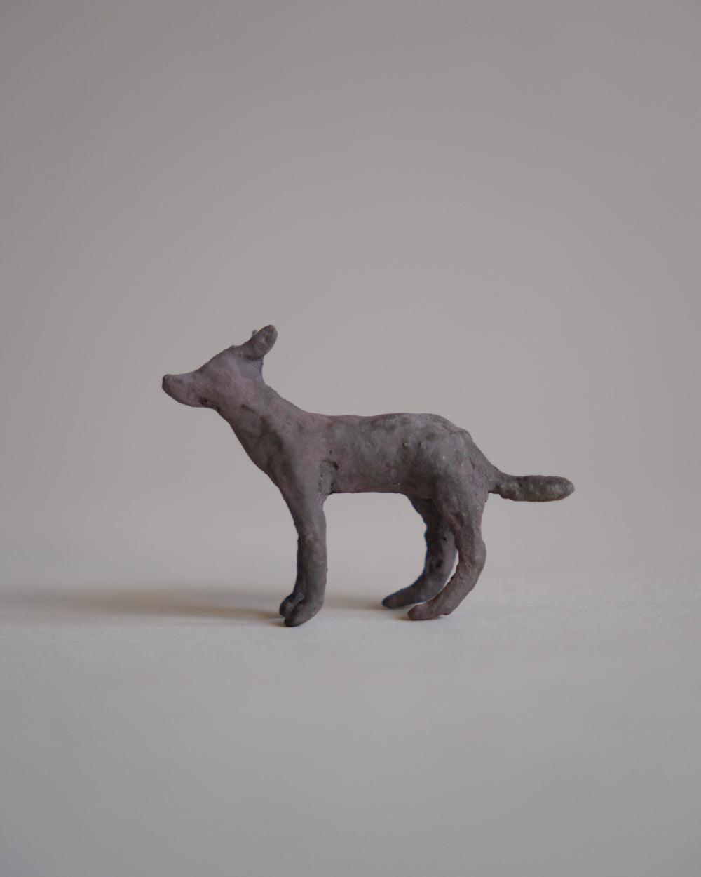 犬