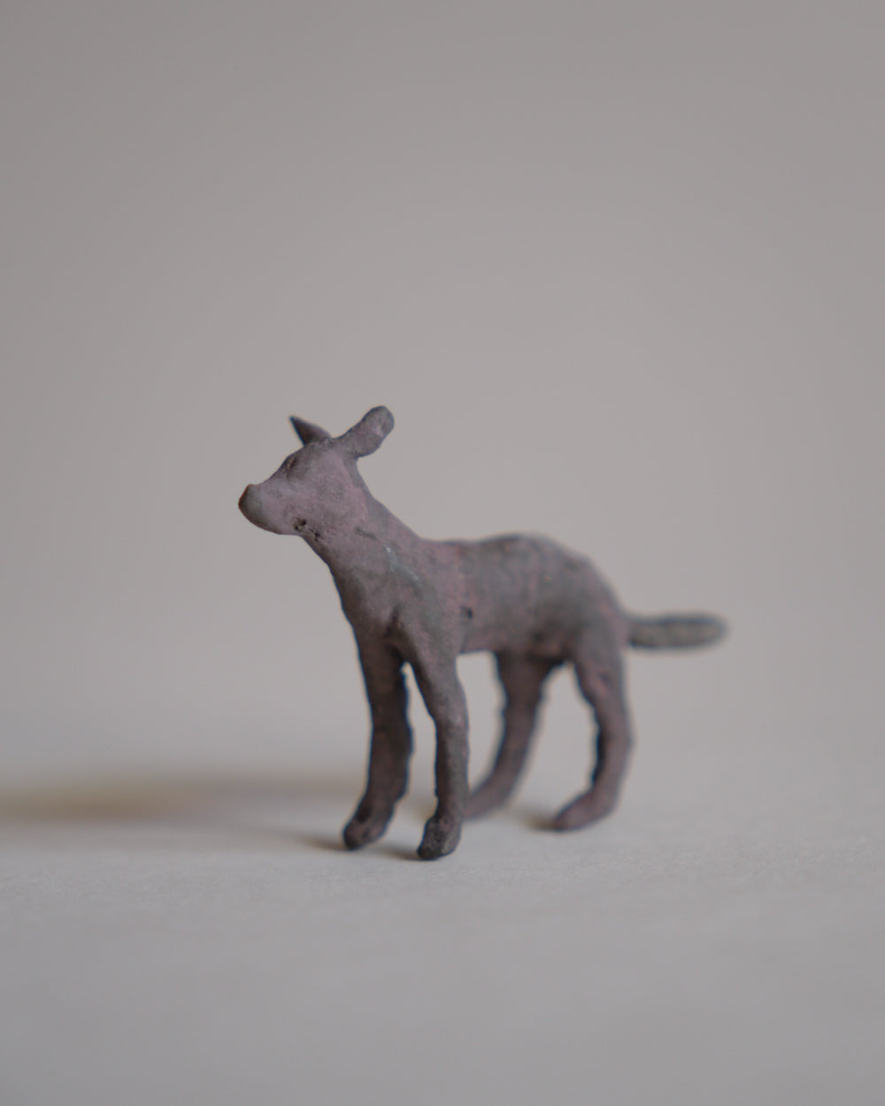犬