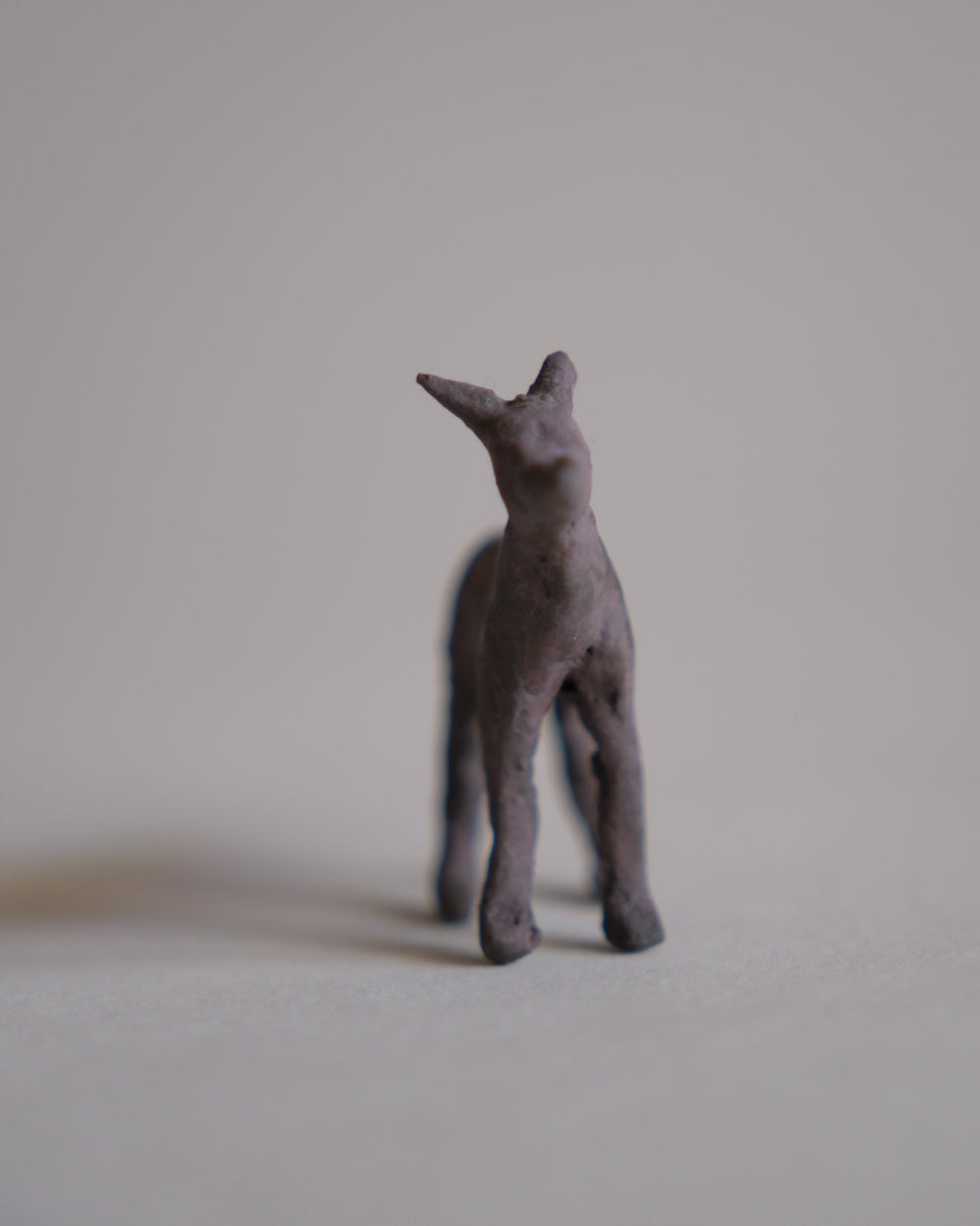犬