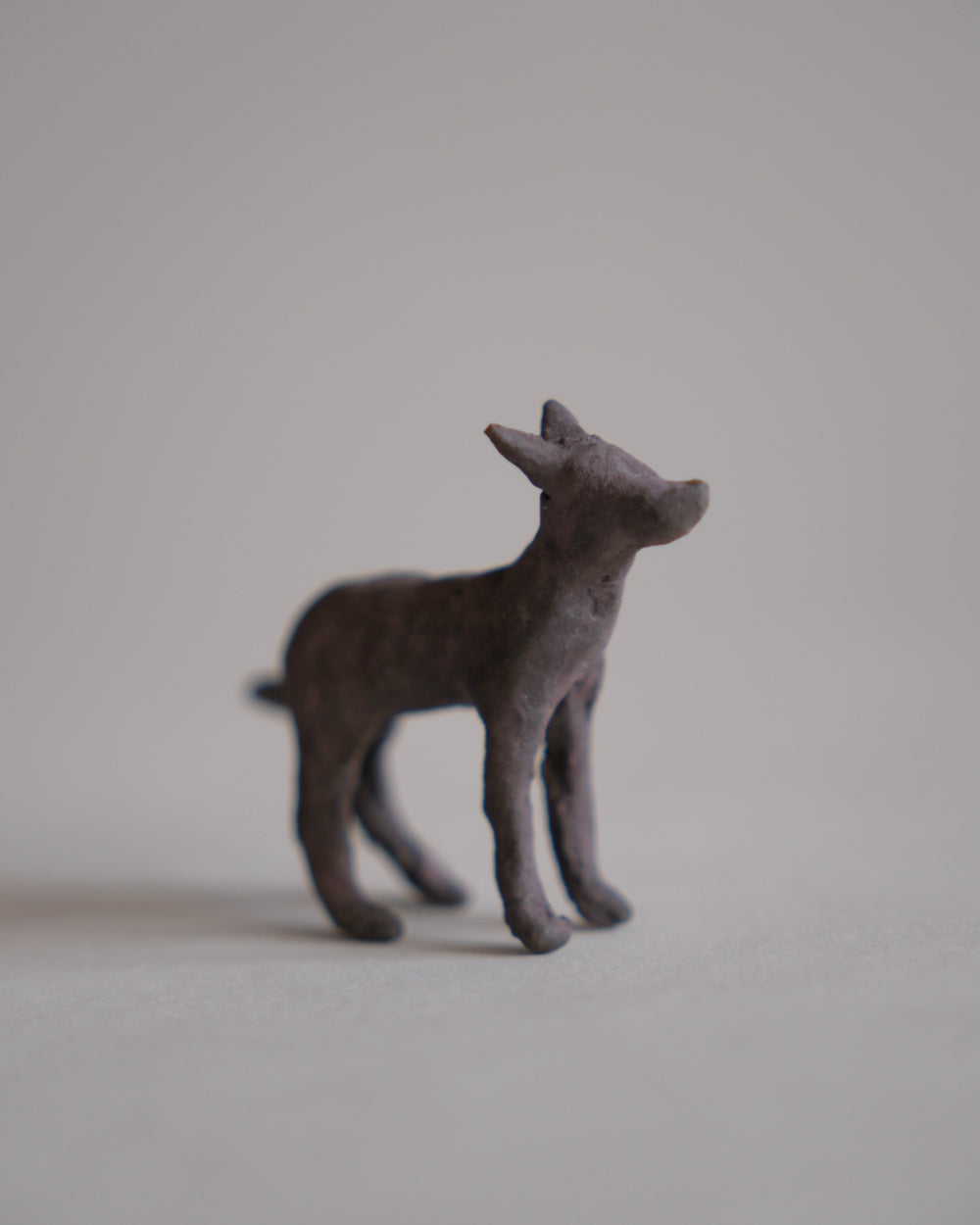 犬