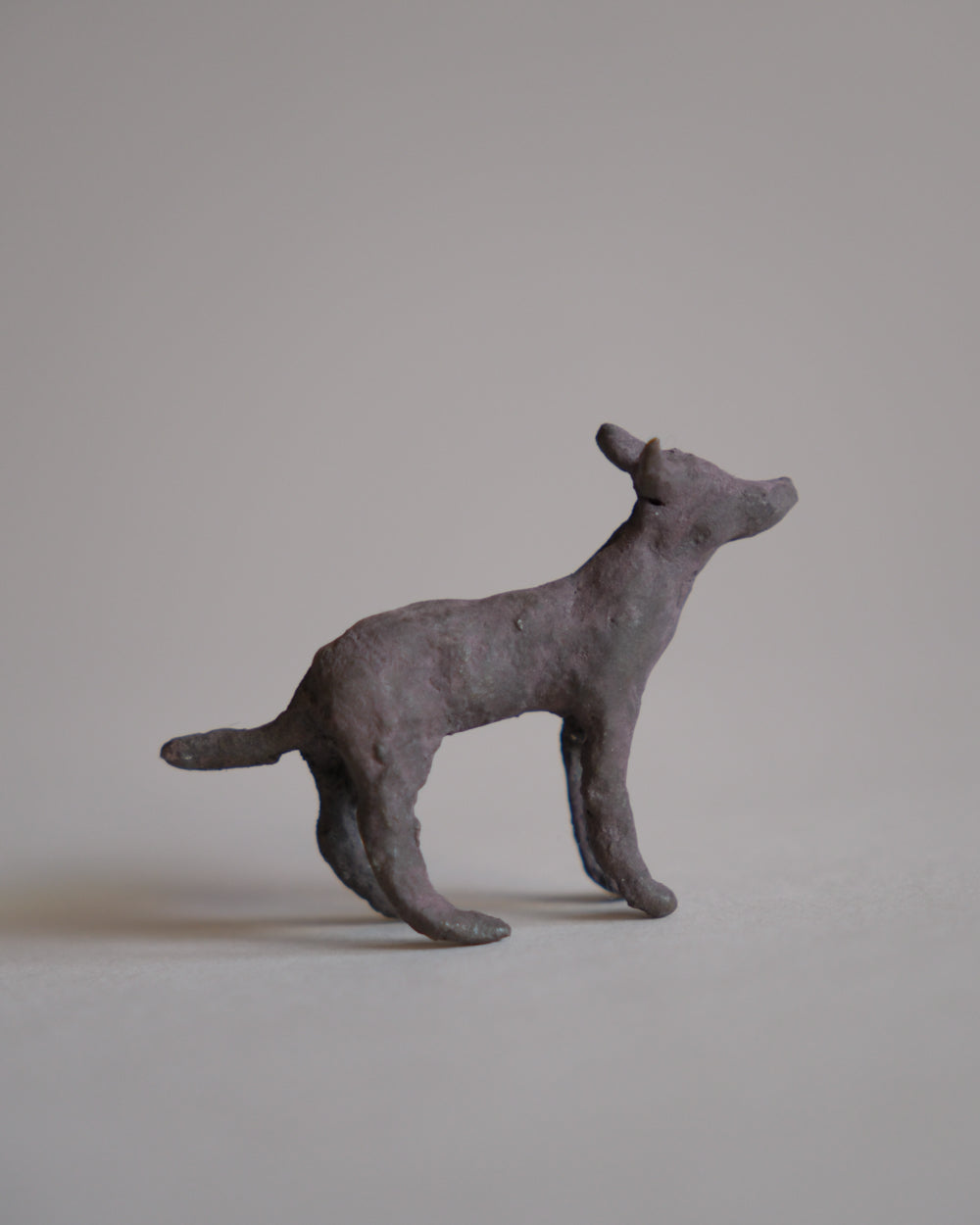 犬