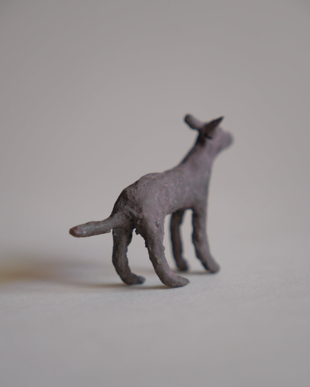 犬