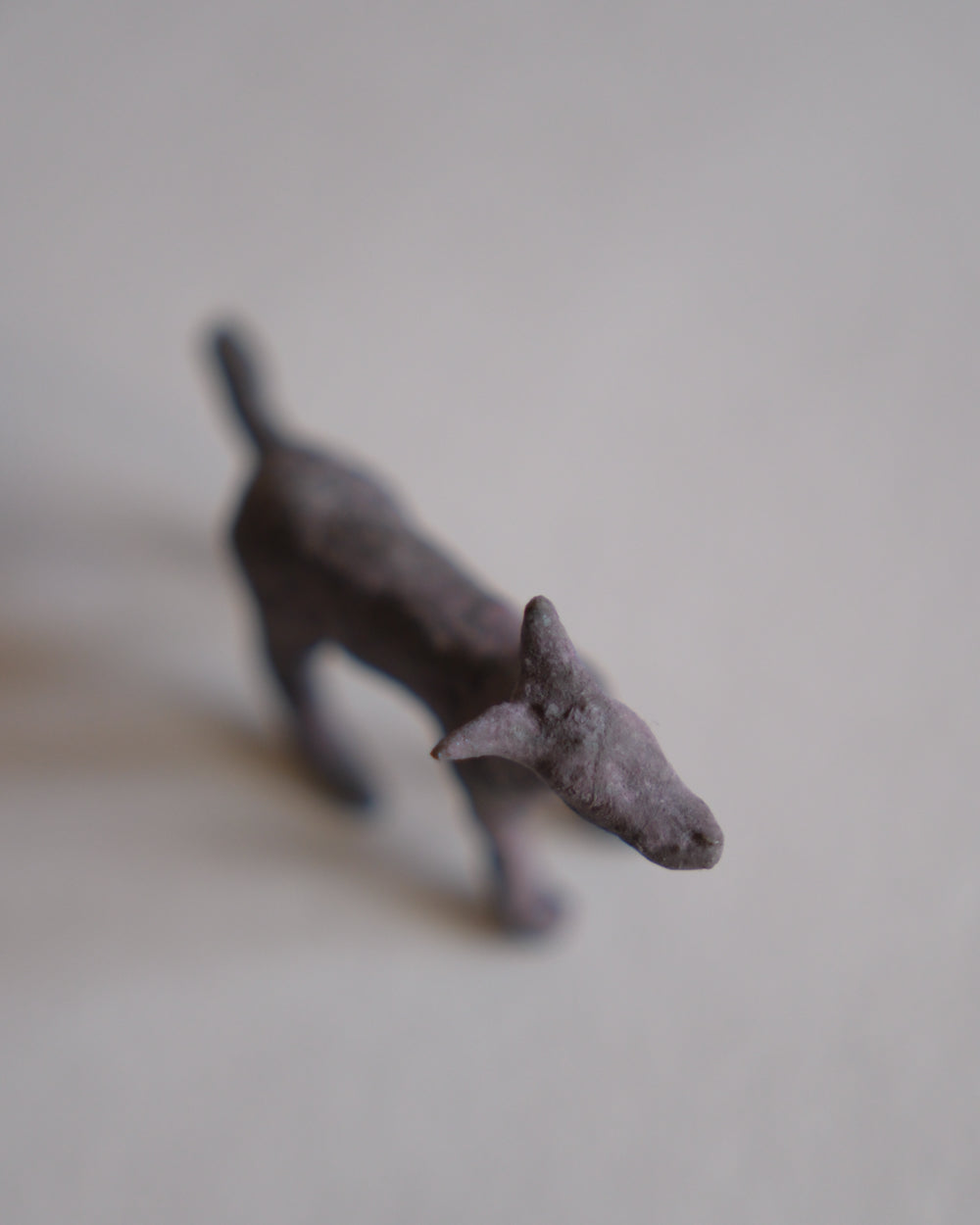 犬
