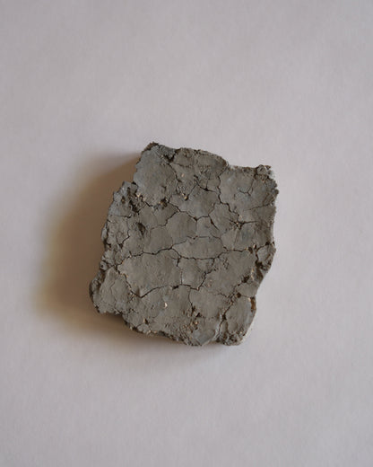旅行的大地