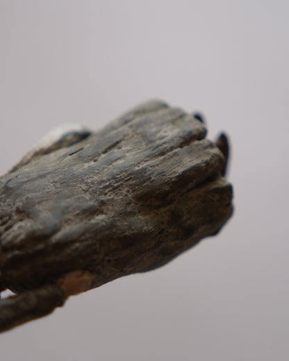 鄰近的婦人