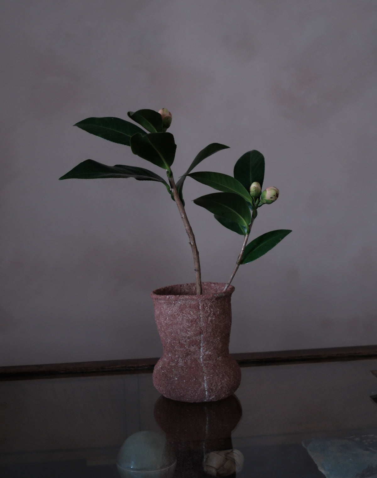 han-03 flowers and their bardo / 梁瀚云