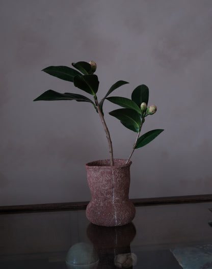 han-03 flowers and their bardo / 梁瀚云