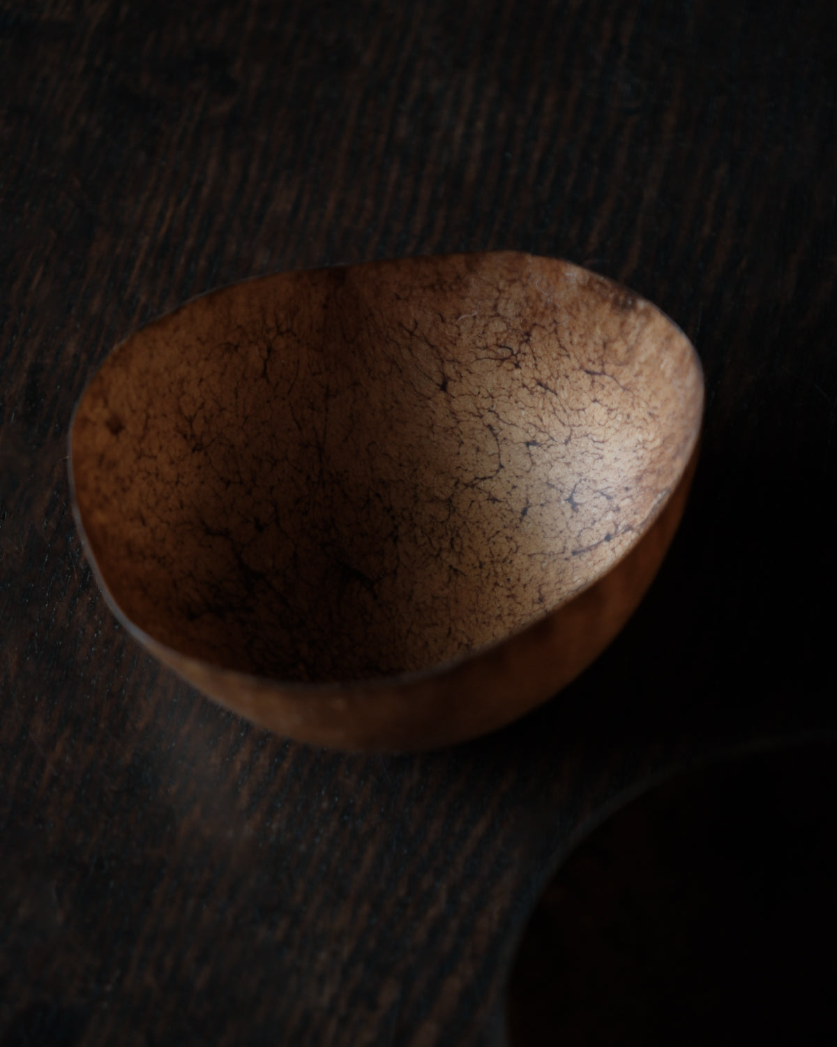ig-0102 鹿皮器 / 石黑幹朗