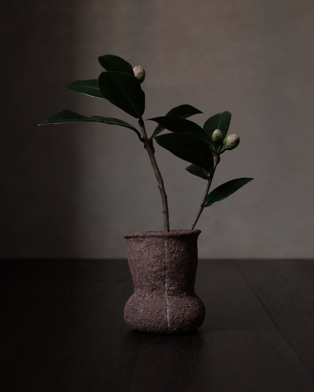 han-03 flowers and their bardo / 梁瀚云