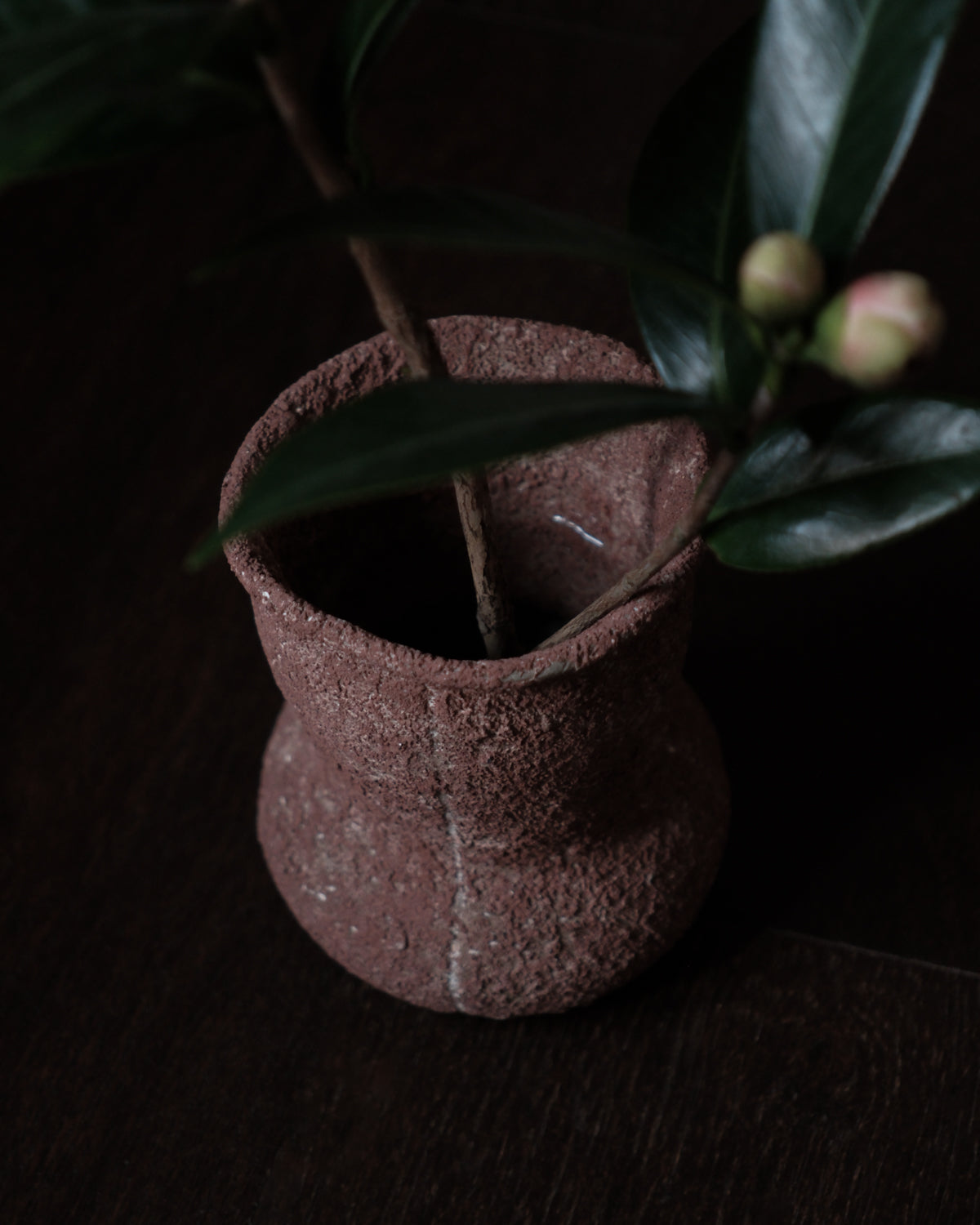 han-03 flowers and their bardo / 梁瀚云
