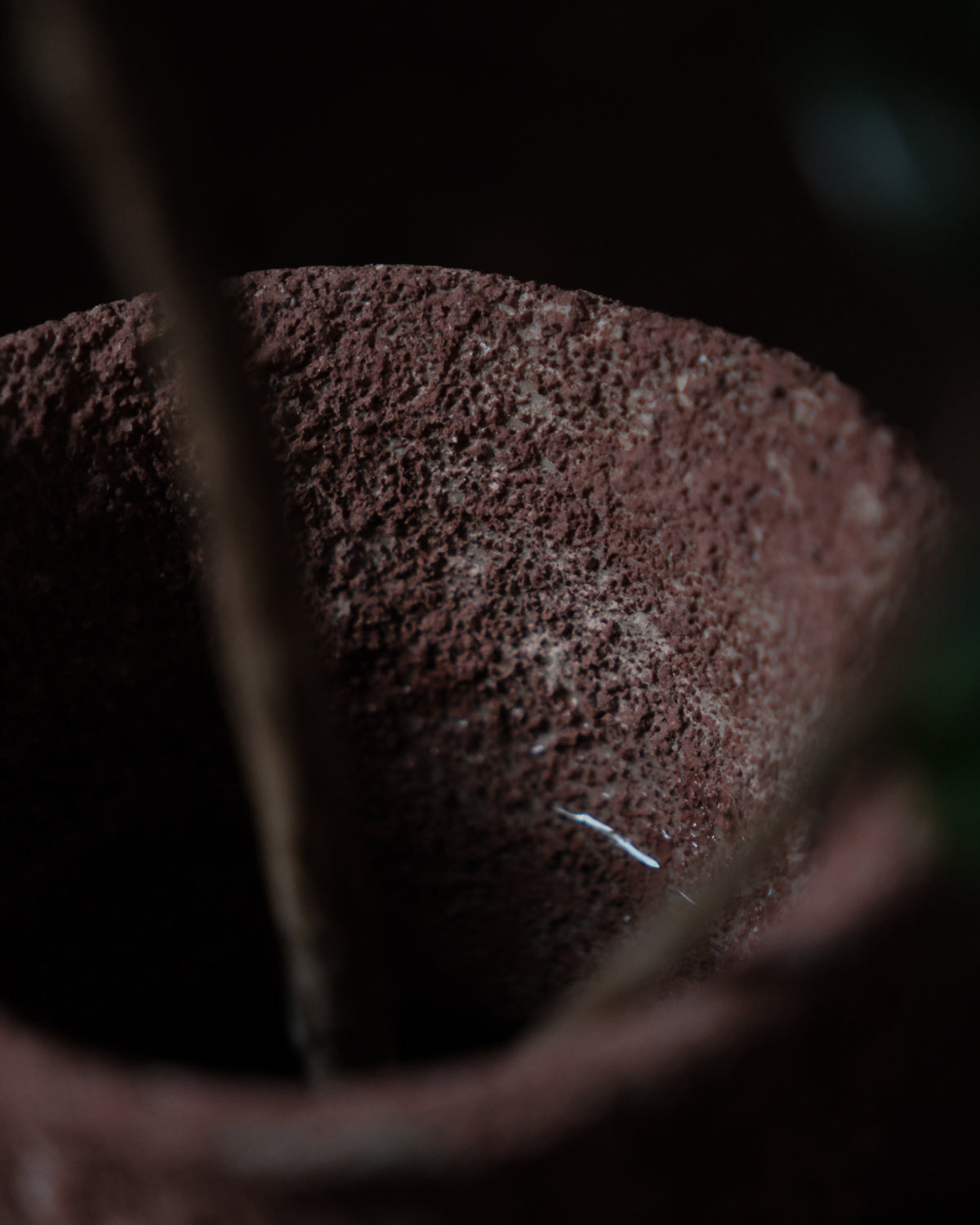 han-03 flowers and their bardo / 梁瀚云