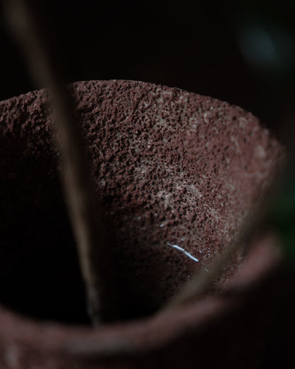 han-03 flowers and their bardo / 梁瀚云