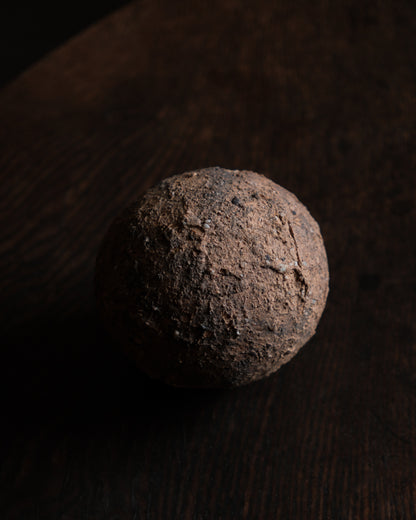 han-01 egg of life / 梁瀚云