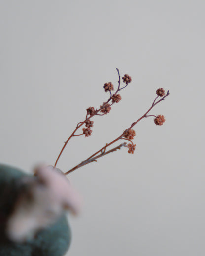 搬運花的犬人