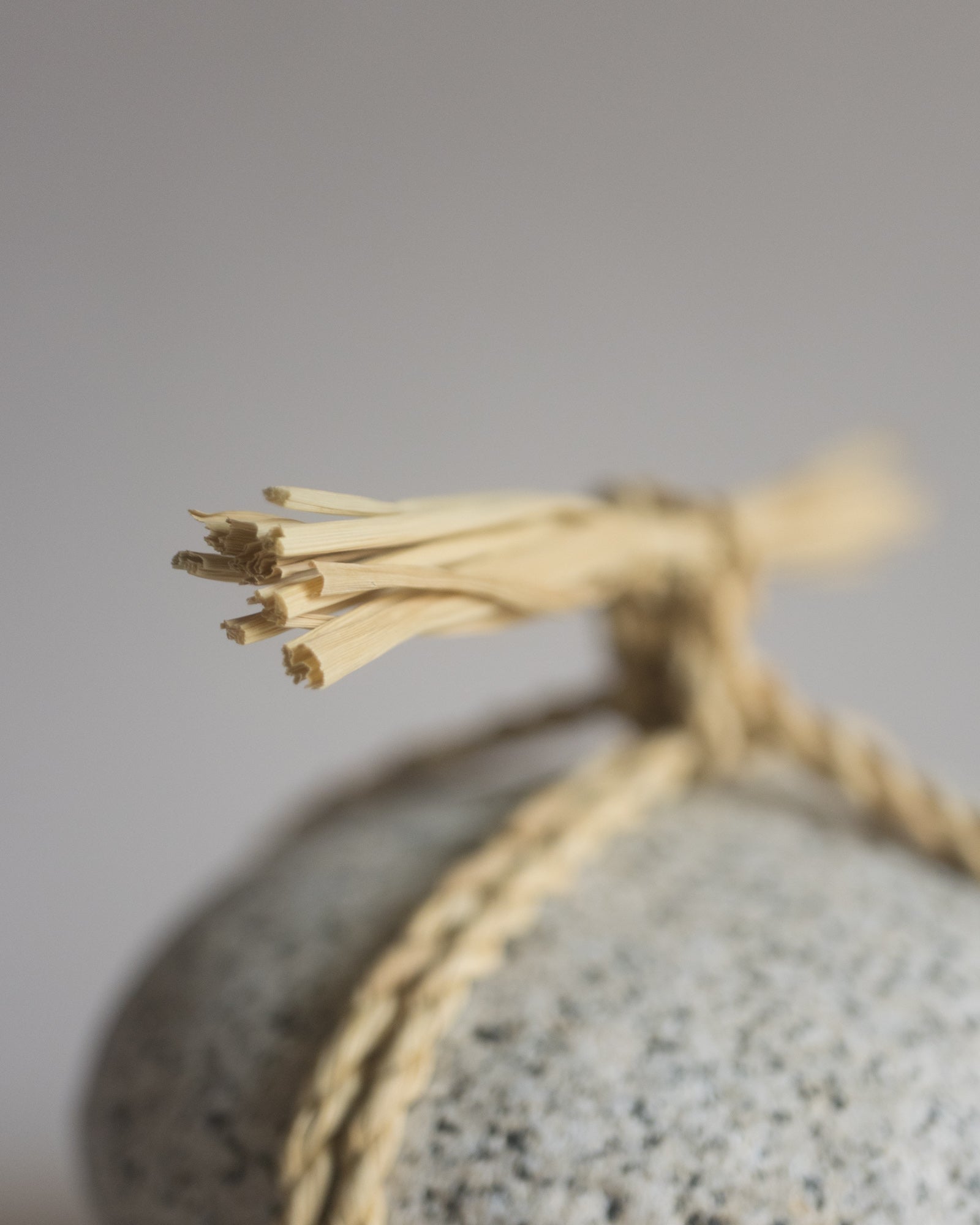 関守石- XV / L – 山竹｜Koya Sanju